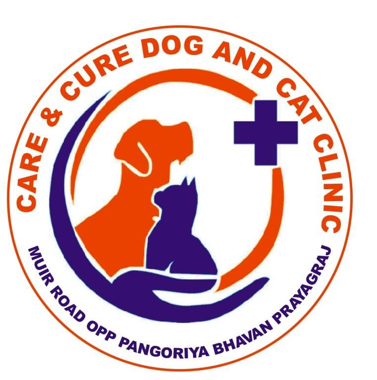 Care & Cure Logo